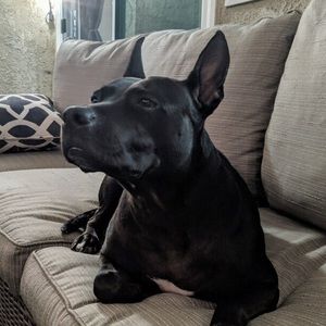 Meet your Posher, Phil